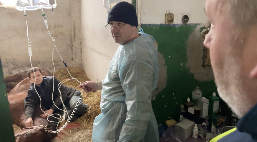 After Actions Beyonds Words deliver  $6000 worth animal food aid, Simon Massey ABW meets dedicated vet from Finland treating a horse from the   Dombas  - It's life and death and a 24/7 care regime.
